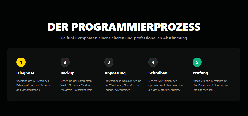 Der Neuprogrammierungsprozess: Hauptphasen